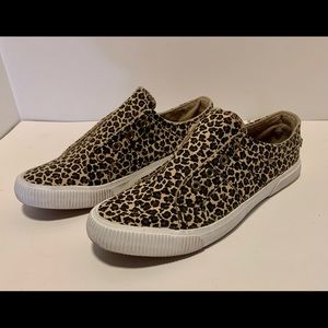 Ladies leopard Tommy Bahama Slip Ons